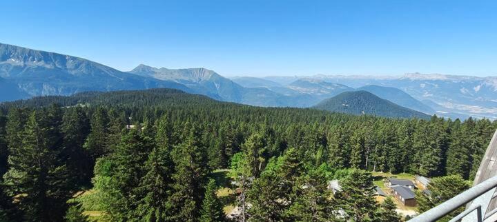 une vue aérienne sur une forêt d'arbres et de montagnes dans l'établissement charmant appartement en résidence 3 étoiles pour 6,, à Chamrousse
