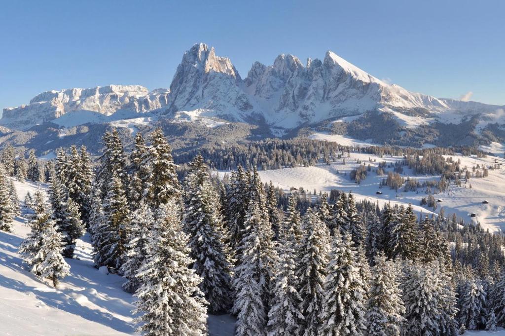 a group of snow covered trees in front of a mountain at Luxury B&B August in Ortisei