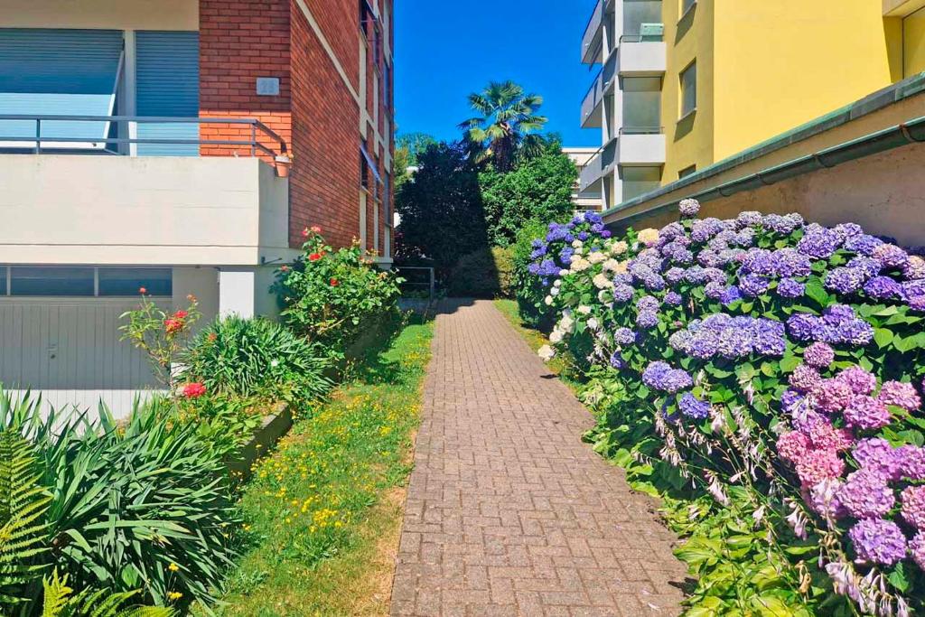 Lugano Oasis Apartment - Peaceful and Central - Resim 6