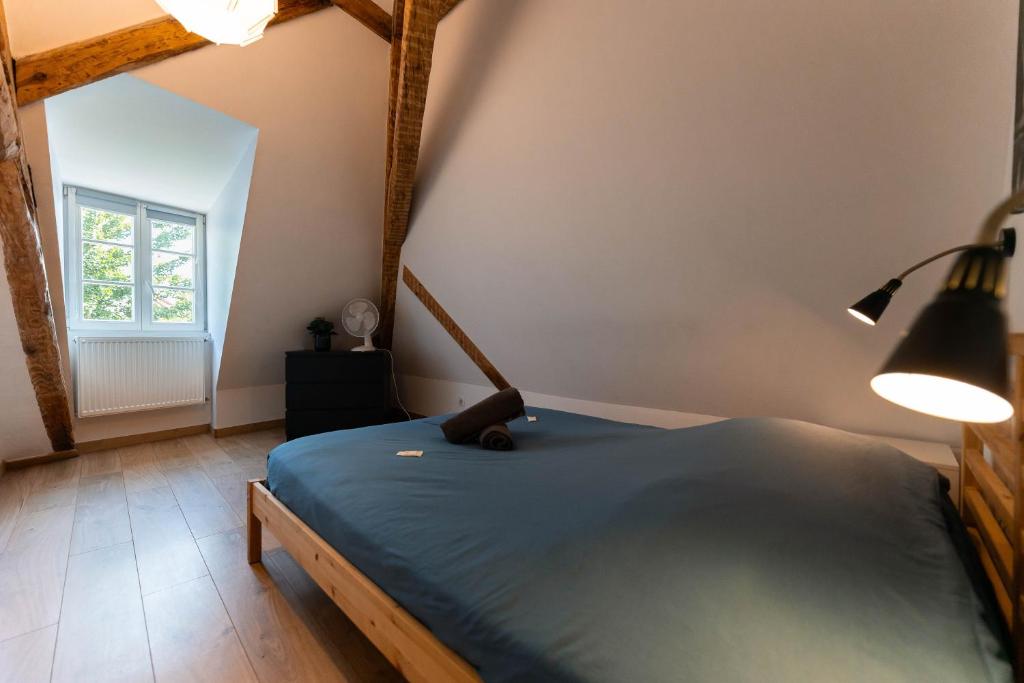 Colmar Historic Center - BELLE ALSACE 5 - 4 étoiles – photo 15