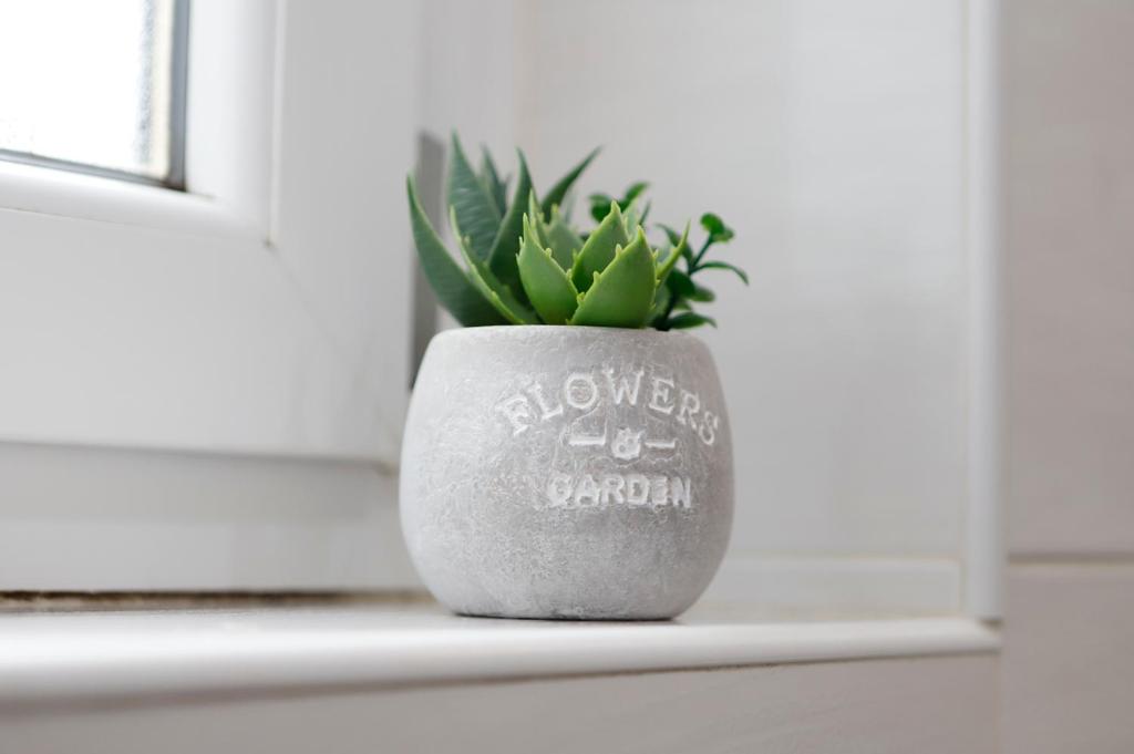 Lugano Oasis Apartment - Peaceful and Central - Resim 24