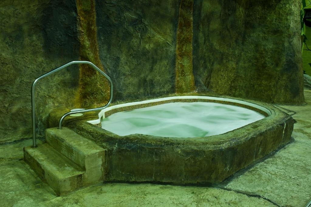 Victoria Inn Hotel and Convention Center Winnipeg - Resim 14