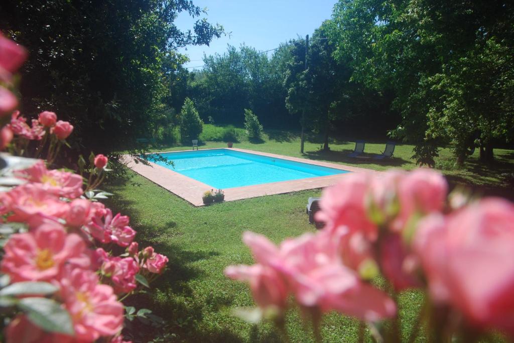 a swimming pool in a yard with pink flowers at Coltifredi Apartment in Mercatale Val Di Pesa