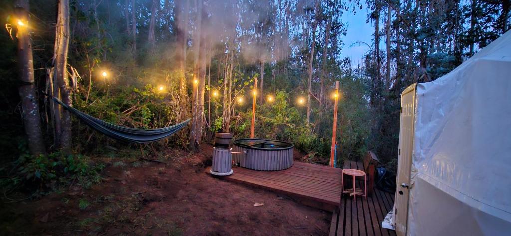 Domo con opcion a tinaja en medio del bosque