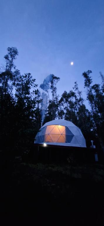 Domo con opcion a tinaja en medio del bosque