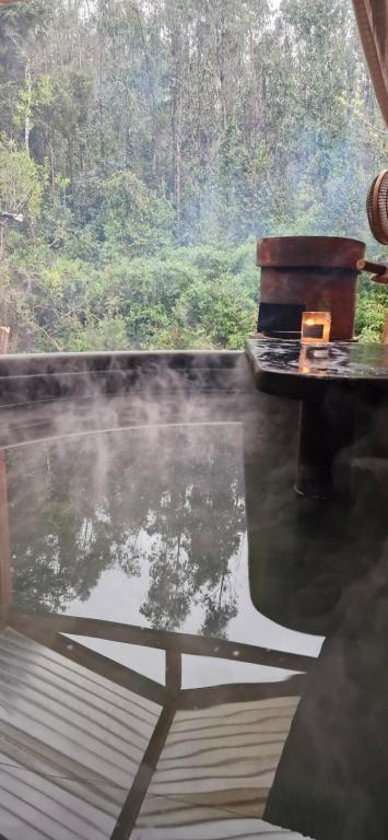 Tiny estrella sur y tinaja