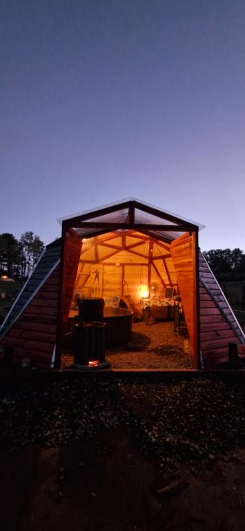 Tiny estrella sur y tinaja