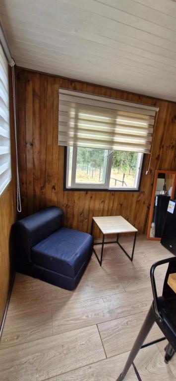 Tiny estrella sur y tinaja