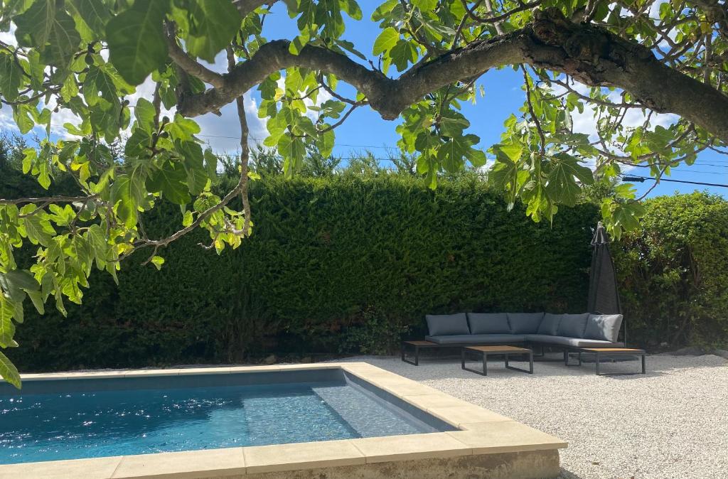 une piscine dans une cour avec un canapé et un arbre dans l'établissement La maison de Marinette, à Séguret