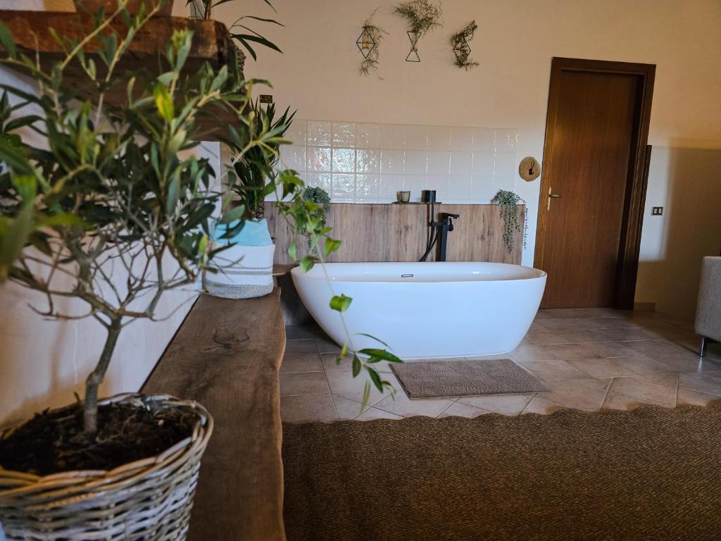 Fotografie z fotogalerie ubytování Le Valli Tuscany v destinaci Pomarance