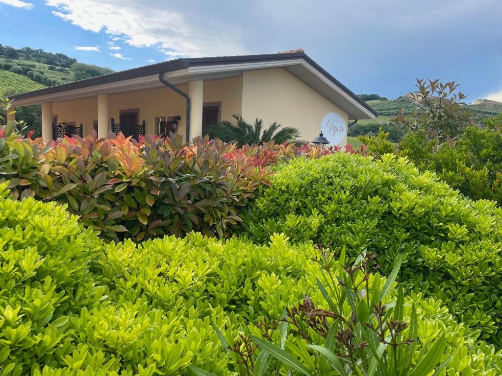 Vigneto - Italian Restaurant & B&B