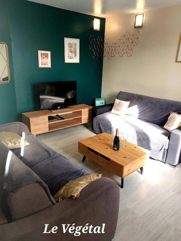 Les Belles Terrasses Dieppe ,3 appartements , LE VEGETAL de 1 à 8 personnes , LE TROPICAL de 1 à 6 personnes , LE FLORAL avec TERRASSE de 1 à 3 personnes , quartier calme au stationnement gratuit à coté de l'avenue verte - Appartement 2 Chambres