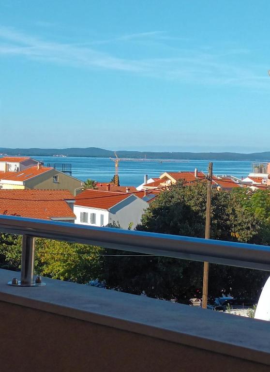 MAYA Dalmatia & 4Free bikes