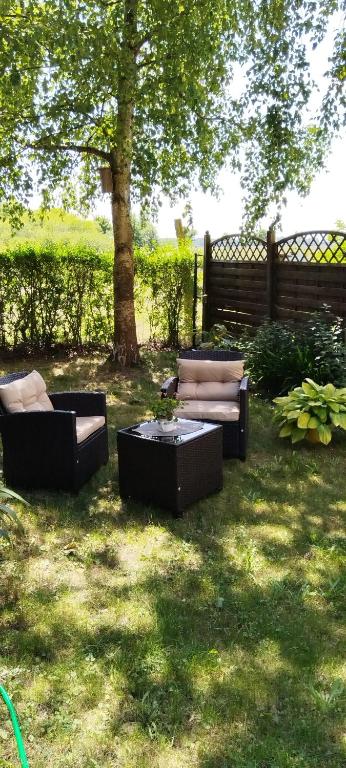 three couches sitting in the grass under a tree at König in Korswandt