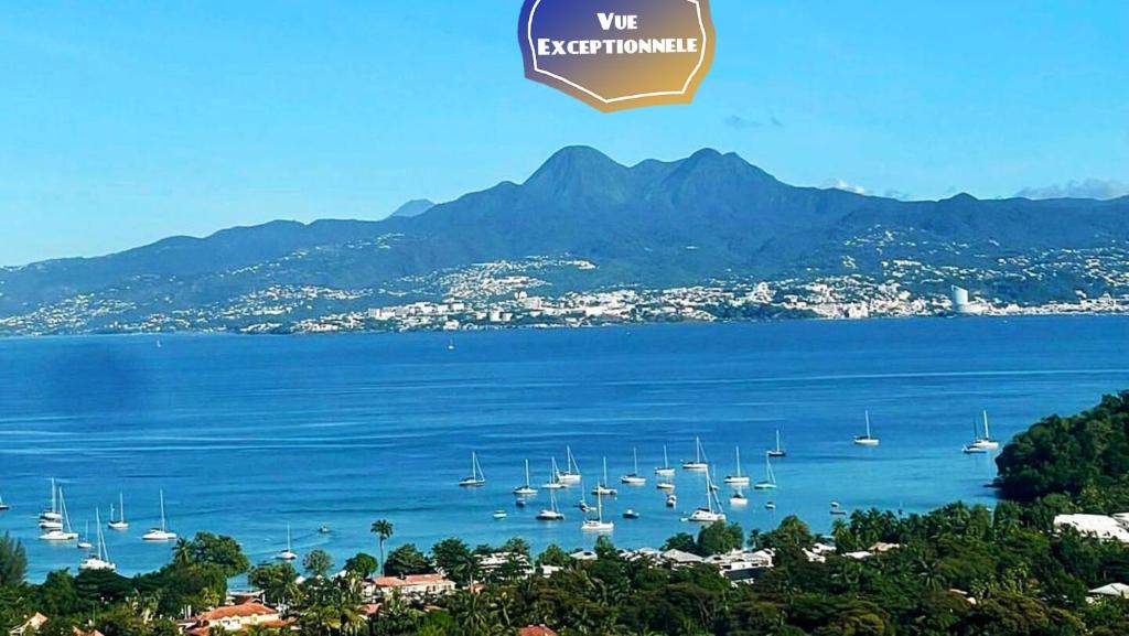 a view of a large body of water with boats at F3 4-5 personnes - Spot idéal en Famille ou Amis - Piscine, Vue Mer et Calme - Anse à l'Âne in Les Trois-Îlets