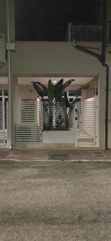 a building with a plant on the side of it at RESIDENZA GIULIA e LIDIA - PERLA DELL'ADRIATICO in Grottammare