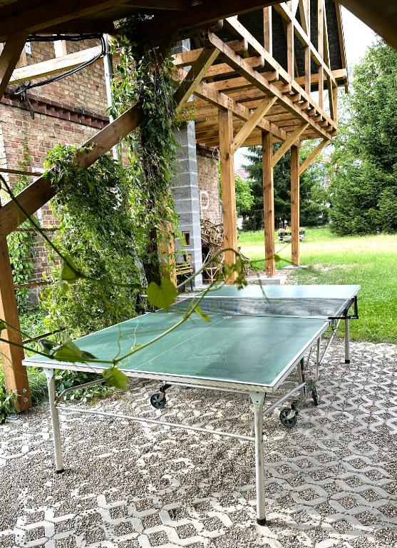 Stolní tenis v ubytování Agroturystyka Różanka nebo okolí