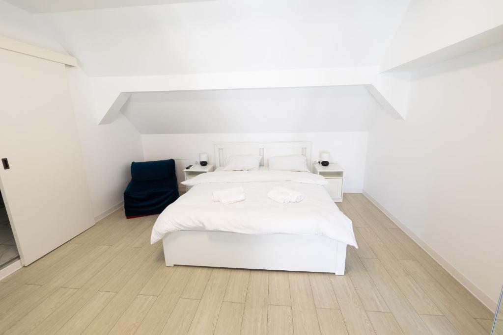 Mani Studio - Hizvo