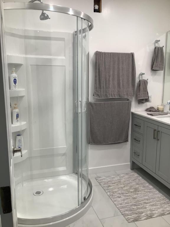 a shower stall in a bathroom with a sink at Hammond bay planta house in Nanaimo