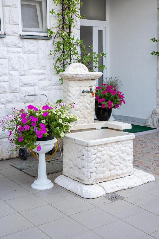 Zahrada ubytování Guest House Aldin