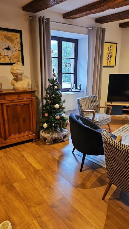 TV a/nebo společenská místnost v ubytování Gîte Du XVe