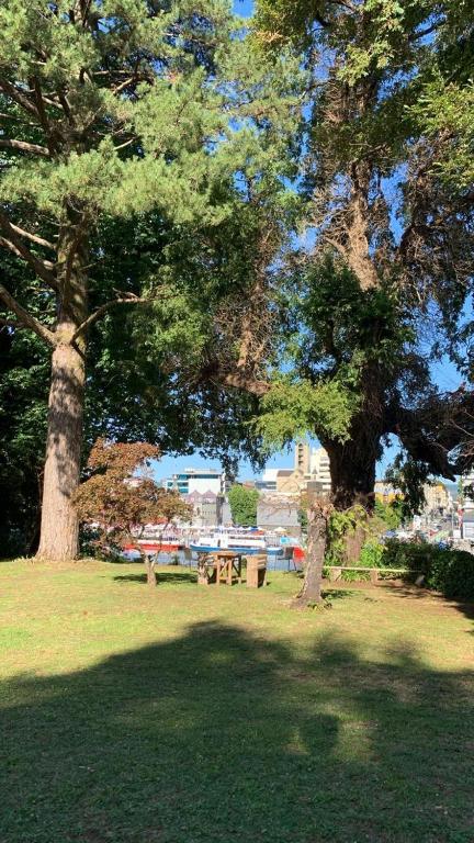 two trees and a picnic table in a park at Hospedaje en borde río in Valdivia
