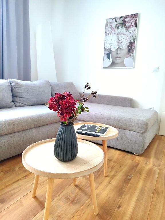 50 qm Ferienwohnung für 4 Personen, Monteure oder Geschäftsreisende, Smart-TV, WLAN, separater Eingang, 24 Std Check-in, Doppelbett, 2 Schlafsofa, 50 m bis zum Schlosspark, Lebensmittelgeschäfte in der Nähe - Appartement 1 Chambre
