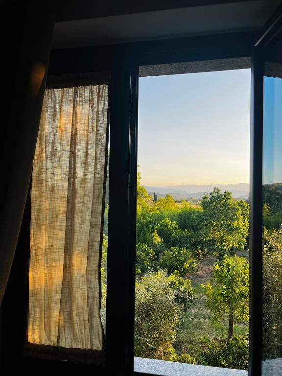 a window with a view of a field at B&B Mastro Mario in Rocca di Neto