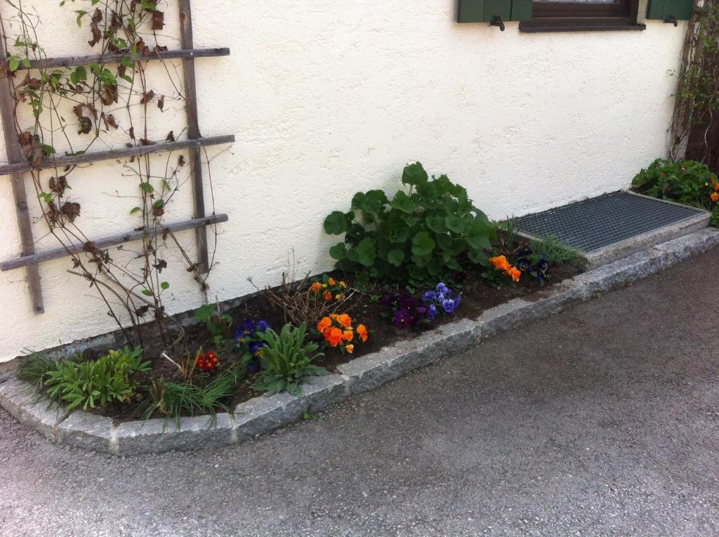 Vonkajšia záhrada v ubytovaní Haus Fernsebner