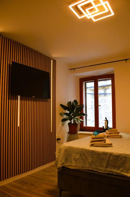 TV a/nebo společenská místnost v ubytování Apartment Antonio