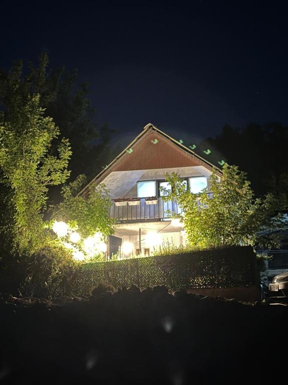 Zahrada ubytování Bujtina Agroni