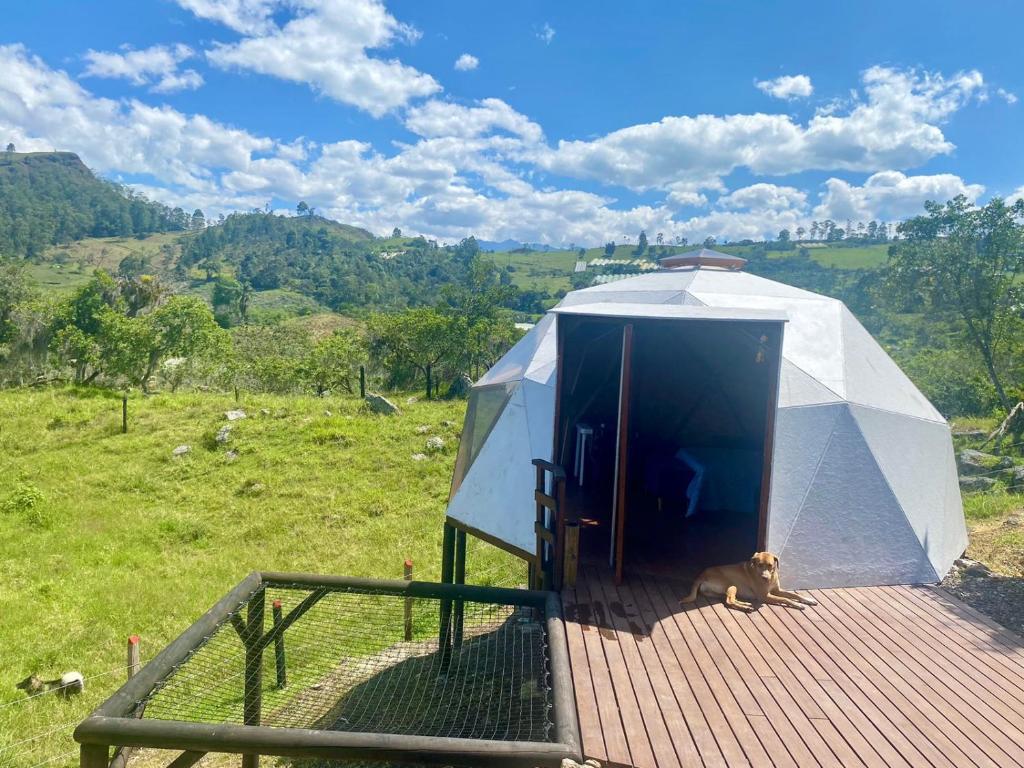 Příroda nedaleko luxury tent
