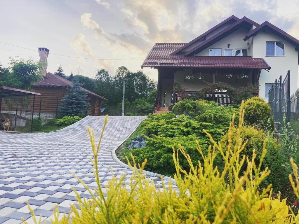 Κήπος έξω από το Casa Ungurianu