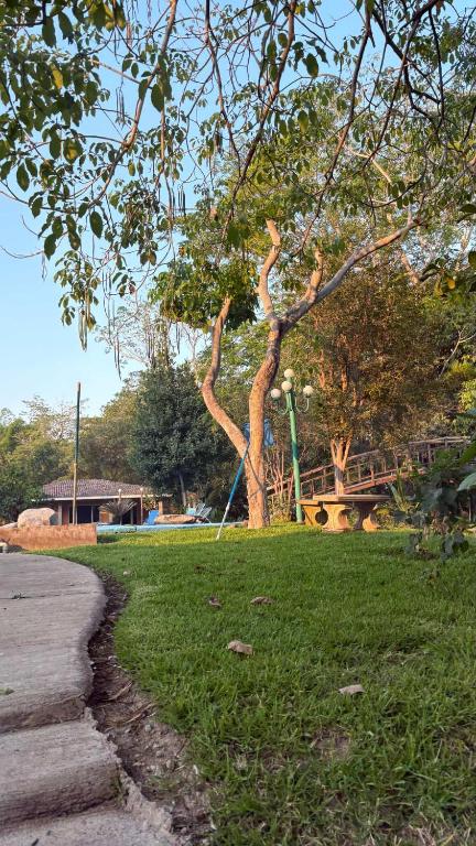 a tree in the grass next to a sidewalk at Cabañas la Granja Rincón de Guayabitos in Rincon de Guayabitos