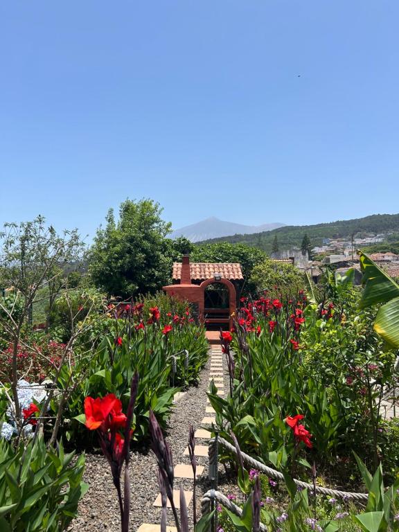 a garden with red flowers and a pathway at Casa terrera "El Granero" in Tanque