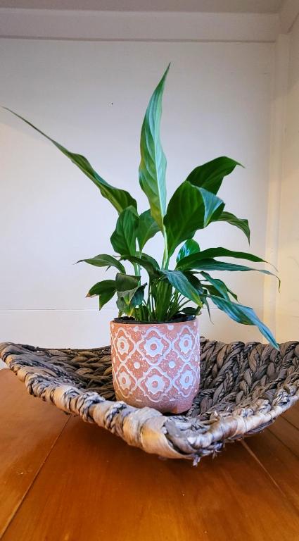 Urban Cottage - Resim 34