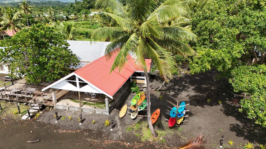 にあるNatalei Eco Lodgeの椰子の木のある家の頭上
