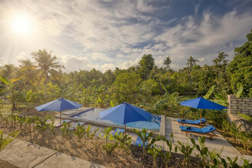 eine Gruppe von blauen Sonnenschirmen und Liegen und Stühlen in der Unterkunft Belangga Cottage in Nusa Penida