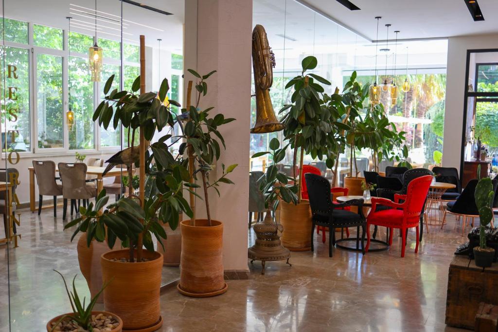 Φωτογραφία από το άλμπουμ του Mille Amici Hotel σε Shëngjin