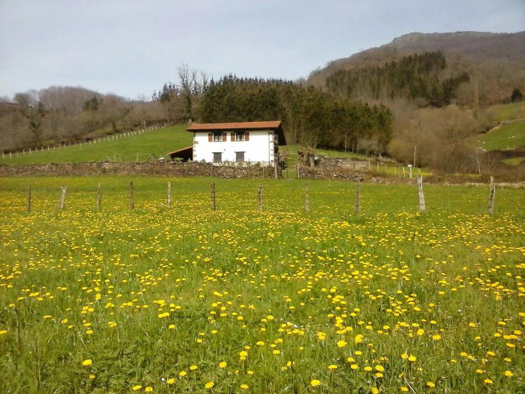 Alberroakoborda reserva habitación