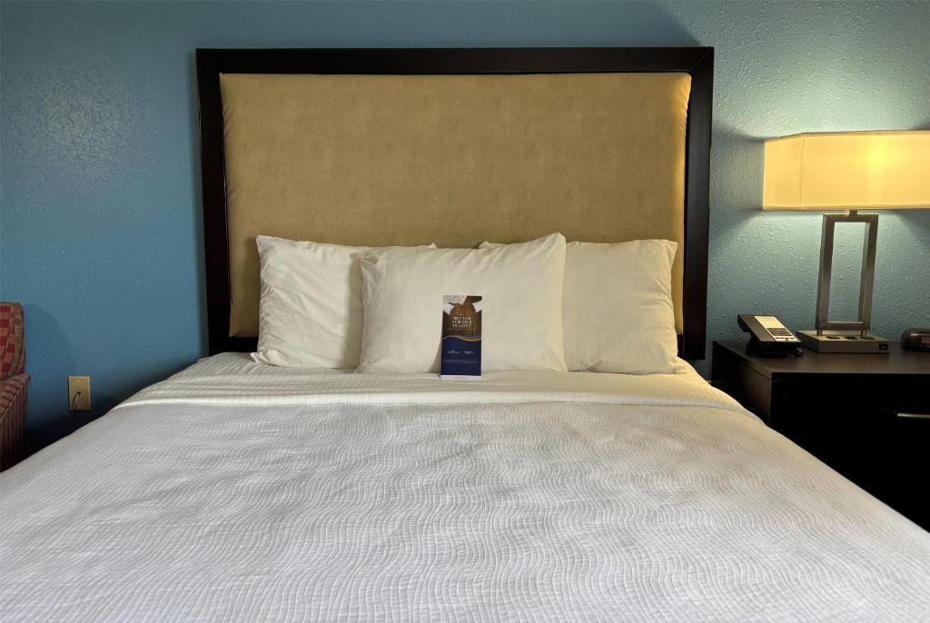 Baymont by Wyndham Litchfield - Camera Queen - Accesso Per Disabili/Non Fumatori