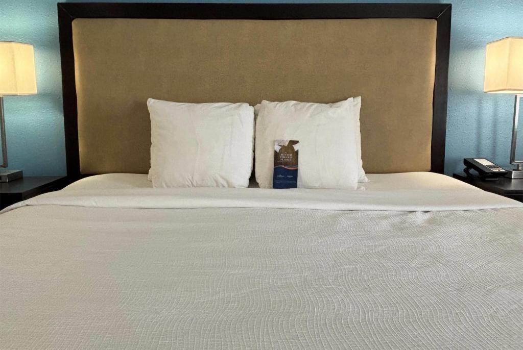 Baymont by Wyndham Litchfield - Habitación Con Cama Extragrande - No Fumadores
