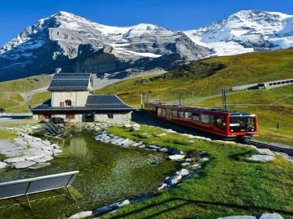 Příroda nedaleko apartmánu