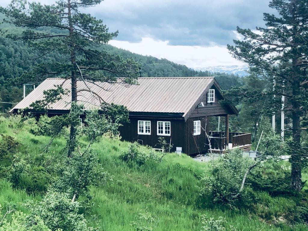 a wooden house in the middle of a field at Familiehytte på Kvamskogen in Kvam