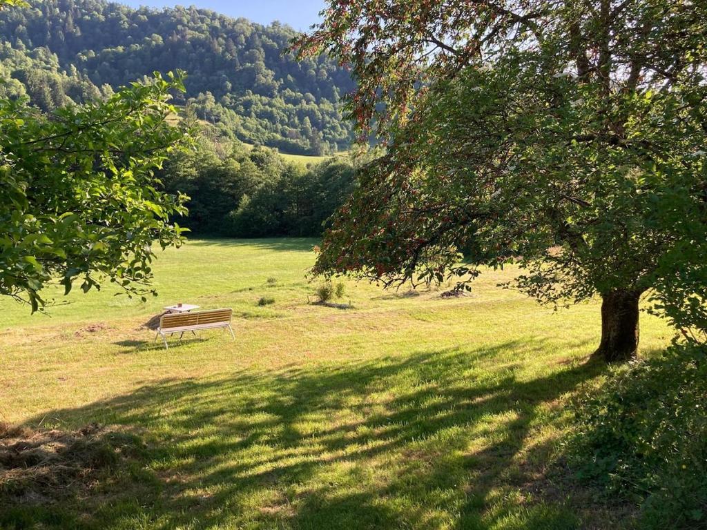 een parkbank in een veld met een boom bij Le Gîte d'Orion in La Bresse