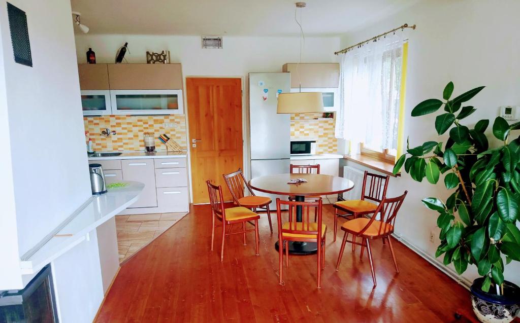 Dapur atau dapur kecil di Apartmán U Zebry