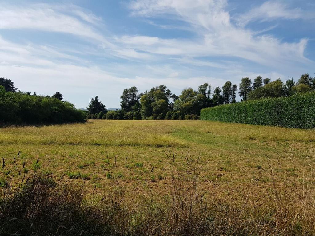 Country Cutie-Pie, close to town - Resim 12