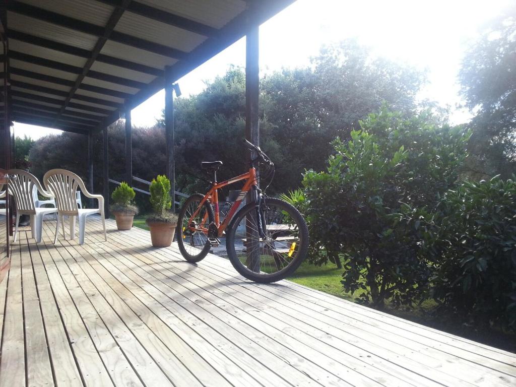 Country Cutie-Pie, close to town - Resim 15