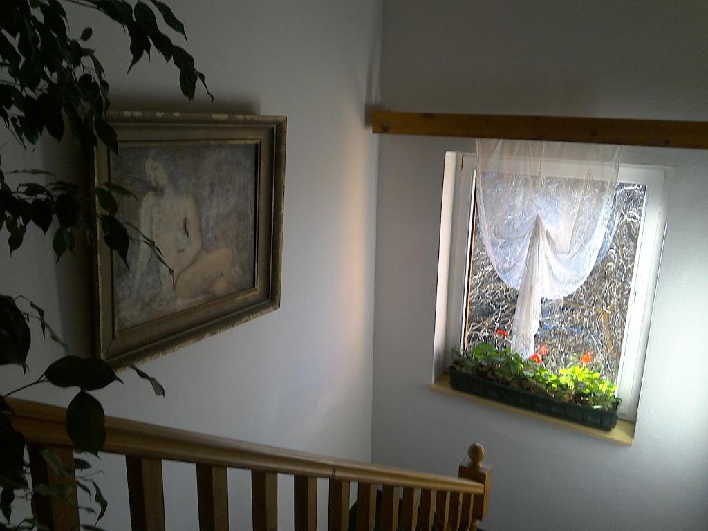 Fotografie z fotogalerie ubytování Pension Beránek v Praze