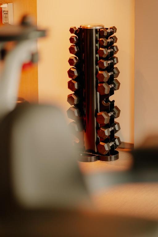 Fitness centrum a/nebo fitness zařízení v ubytování LOOKEN INN Lingen by Hackmann